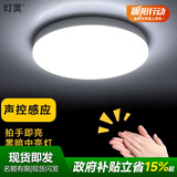 灯灵雷达声控感应灯光控楼梯间小区过道入户走廊玄关阳台车库吸顶灯 22cm-18w声控感应