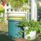 爱丽思（IRIS）Deepot花盆加厚树脂控根圆口绿萝绣球蔷薇月季塑料花盆 9号深绿色(口径约30cm)无盆托