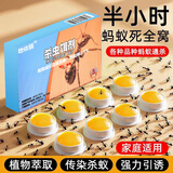 地依猫蚂蚁药方便贴三盒装家用室内灭小黄蚂蚁白蚁全窝除红火蚁端一锅