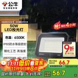 公牛（BULL）LED投光灯户外庭院工厂园林灯露营灯 IP65防水等级50W-6500K白光