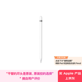 Apple/苹果 Pencil(第一代) 带USB-C转换器 触控笔手写笔苹果笔电容笔 适用部分iPad 11/Pro/Air机型