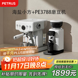 柏翠(petrus) 咖啡机意式浓缩家用小型半自动蒸汽打奶泡 海盐小方PE3833+PE3788