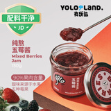 有乐岛配料干净纯熬五莓酱150g 草莓树莓蓝莓黑莓蔓越莓90%果肉含量