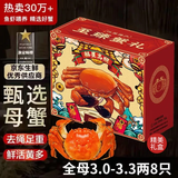 【活蟹】漁家师傅大闸蟹全母3.0-3.3两8只去绳足重鲜活螃蟹现货生鲜水产海鲜礼盒