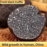 玉燕妃云南新鲜黑松露野生块菌猪拱菌松露菌营养泡酒春节年货节送礼品 5-6cm新鲜黑松露净重2斤配礼盒