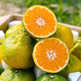 壹棵弘芯正宗现摘柑橘子新鲜水果当季酸甜口湖北橘子生鲜整箱 特选大果5斤超值 单果110g+ 净4.0斤