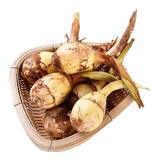 乔诚苏北新鲜农家山茨菇白慈姑茨菰燕尾草地栗芽菇时令蔬菜现挖 5斤