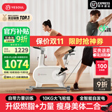 野小兽自发电动感单车家用智能调阻室内自行车静音减肥瘦身锻炼健身器材 【智联游戏力量版M2T】自发电|智能调阻|10KG飞轮组