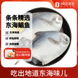 趣尝鲜 鲜冻东海大银鲳鱼1kg(5条装) 平鱼 生鲜 鱼类 深海鱼 海鲜 年货