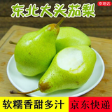 京地达东北茄梨 放软吃酸甜净重4.5斤单果100g+大头梨啤梨源头直发包邮