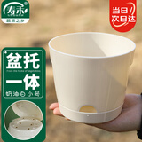 寿禾 花盆带托盘家庭园艺种菜养花盆栽工具 潍育奶油白花盆小号12.5#