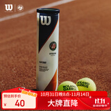 Wilson威尔胜全场地专业用球 法网联名款 Roland Garros   WRT126400