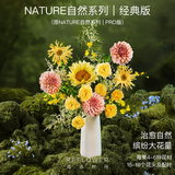 花点时间自然系列每周一花包月鲜花插花源头直发生日礼物云南鲜切花束 【推荐】经典版-包月4束 周六至周日送达（周三17点前下单）