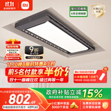 米家智能晾衣机Pro 【国家补贴】小米电动晾衣架超薄嵌入隐藏遥控升降