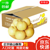 京地达安徽砀山酥梨净重3斤大果约350g 雪梨贡梨子 源头直发 包邮