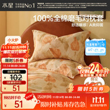 水星家纺枕套纯棉100%全棉磨毛柔感对枕套抑菌A类枕头罩一对装双人48x74cm