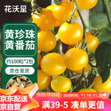 花沃里黄珍珠小番茄西红柿种子100粒*2包 蔬菜种子四季蔬菜阳台盆栽庭院