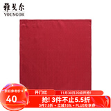 雅戈尔（YOUNGOR）丝巾男士经典口袋丝巾优质涤丝面料经典丝巾装饰方巾商场同款 暗红 均码