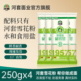 河套雪花面挂面 面条营养早餐方便速食 劲道爽滑凉面汤面250g/500g 雪花挂面 250g*4袋