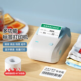 精臣 B1智能标签打印机生产日期商品合格打价格条码服装吊牌热敏不干胶姓名贴纸手持小型超市价签商用  B1天青标签机（送1卷白色标签）