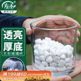 寿禾 水培玻璃杯花盆加厚透明植物插花容器 10*10cm圆形水培玻璃瓶