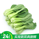 【24小时菜】油菜苗400g(长度≤17cm)