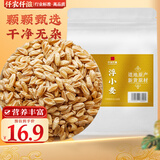 仟农仟滋浮小麦500克 小麦子小麦仁小麦米可泡水煮水
