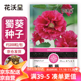 花沃里蜀葵花种子约200粒 花卉种子盆栽阳台种菜土四季草籽阳台庭院田间