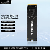 十铨科技G70 PRO SSD固态硬盘1T 2T M.2 NVMe PCIe4.0 2280 台式笔记本ps5 读速7400MB/s 石墨烯散热片 【TLC】1TB PCIe4.0 石墨烯散热片