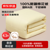 京东京造亲亲棉花被 100%新疆一级棉胎填充 A类春秋被子被芯 4.3斤2x2.3m