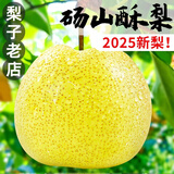 砀山酥梨正宗安徽梨子新鲜水果当季整箱特产青香梨脆雪梨包邮 2.5斤净重2斤