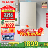 夏普（Sharp）两门冰箱 风冷无霜 节能电冰箱 小户型家用租房大冷冻 双开二门小冰箱 以旧换新 旗舰同款 196升钣金面板 BCD-196WTBE-N