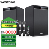 威斯汀（WESTDING） 家庭ktv音响组合套装家庭影院智能语音点歌机专业卡拉ok电视K歌蓝牙音箱 S10声卡K歌套装