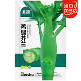 北蔬 鸡腿芥兰种子种苗芥蓝阳台盆栽庭院种四季种籽 鸡腿芥兰种子10g