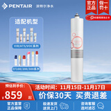 滨特尔（pentair） 净水器家用直饮厨下式超滤前置净水机保留矿物质母婴净饮机自来水过滤器饮水机 VIR3000S主滤芯 简易安装