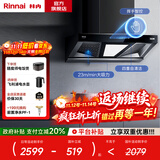 林内（Rinnai）23m³/min欧式顶吸抽油烟机家用 大吸力 双腔沉吸挥手智控 自动热清洗排油烟机 NM11T 以旧换新 NM11T【双腔黄金低吸】