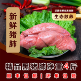 千喜隆【到手净重4斤】沂蒙猪鲜生现发农家土猪心肺内脏猪杂猪下水生鲜 【到手净重4斤现杀猪肺】