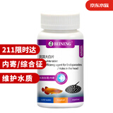 备能 英国大白片内寄鱼药龙鱼用锦鲤鹦鹉凸眼头洞烂尾白点水霉病40片