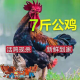 诺斯食美散养两年老公鸡 农村大公鸡现杀鲜鸡肉土鸡新鲜 毛重-7斤 散养大公鸡