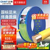 正泰（CHNT）电线铜芯电缆电源线BV1.5/2.5/4平方6平方国标纯铜家装硬电线 双色BV6（100米）