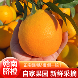 田澄鲜 正宗赣南脐橙早当季新鲜橙子江西橙新鲜采摘当季水果产地直发礼 【30%人选】净重9斤单个150g+