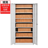 班龙文件柜铁皮柜钢制办公储物档案柜子