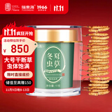 福东海 冬虫夏草10克 大号干断虫草【实惠装】高品质饱满营养品送礼老人