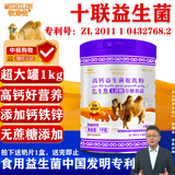 牧诗伦无蔗糖添加骆驼奶粉1罐1000g新疆正宗中老年成人益生菌高钙营养粉
