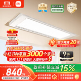 米家智能晾衣机Pro月光白 【国家补贴】小米电动隐形晾衣架超薄嵌入