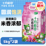 十月稻田【2025年新米】香稻贡米5kg 寿司香米 东北大米10斤 2袋