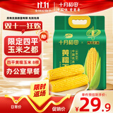 十月稻田 四平黄糯玉米 3.52斤(220g*8根)东北玉米棒 低脂早餐 零食