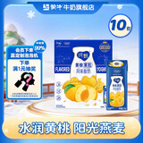 蒙牛  纯甄风味酸牛奶营养早餐风味酸奶礼盒装 【黄桃燕麦】200g*10盒