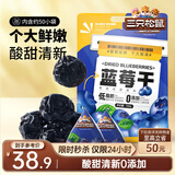 三只松鼠每日蓝莓干500g 蜜饯果干酸甜休闲零食下午茶孕妇儿童健康零食