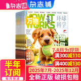 万物杂志2025年订阅 8-15岁青少年科学科普 3D图解知识 中小学生课外科普百科通识知识 How it works 中文版期刊单月/半年/全年少儿阅读杂志铺环球科学青少年版非英文版 【下半年订阅】